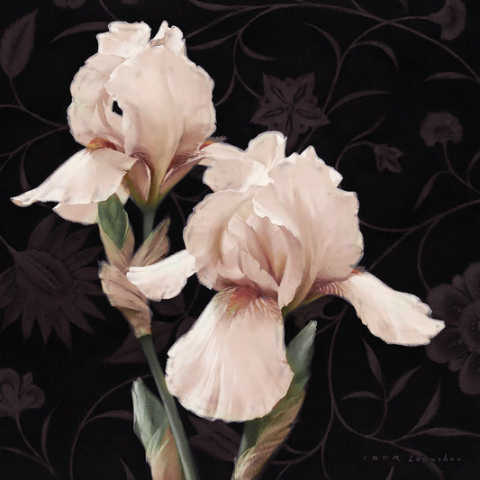 Iris Elegantes