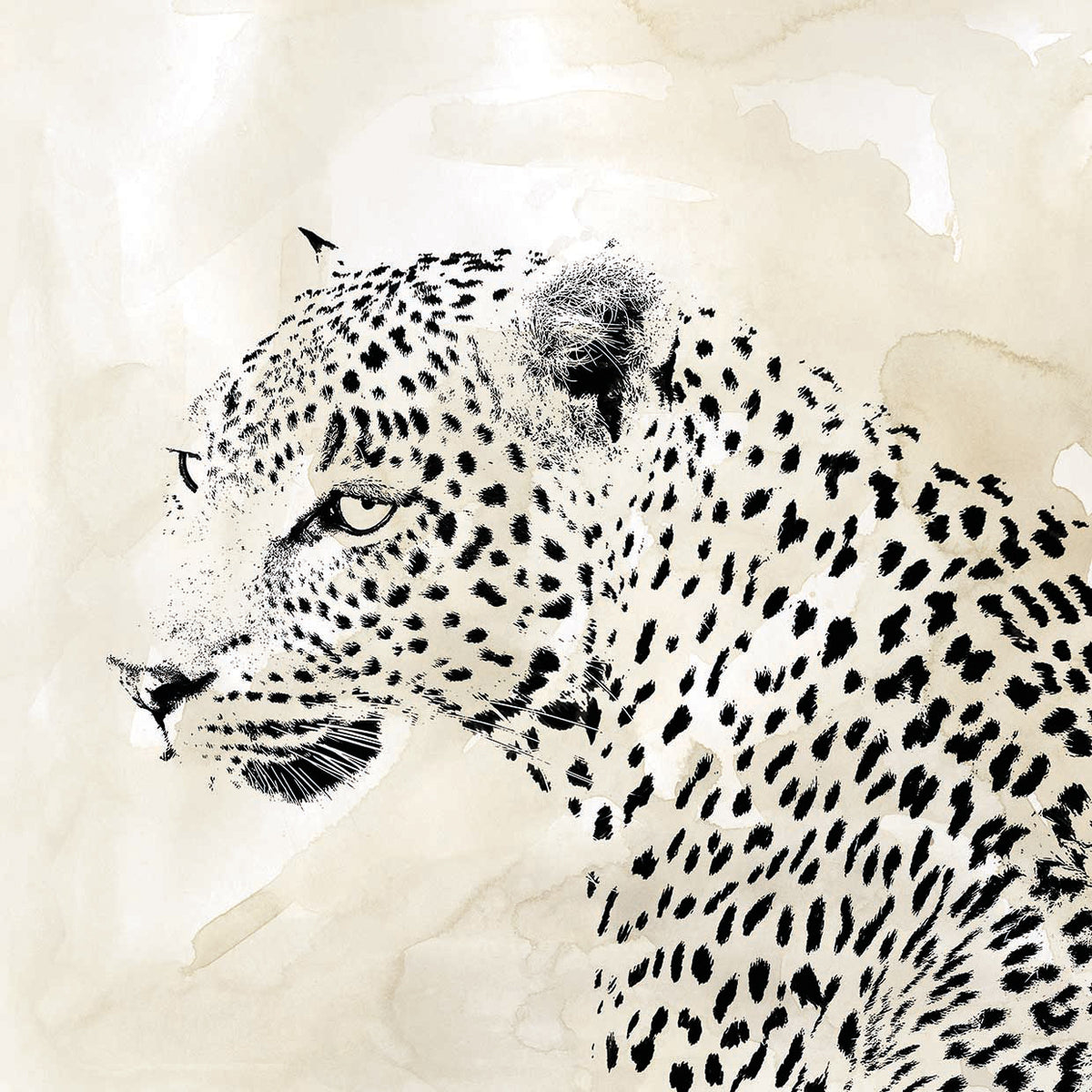 Leopard Spot II by Carol Robinson  - highest quality handcrafted wall art work on large canvas & framed canvas prints