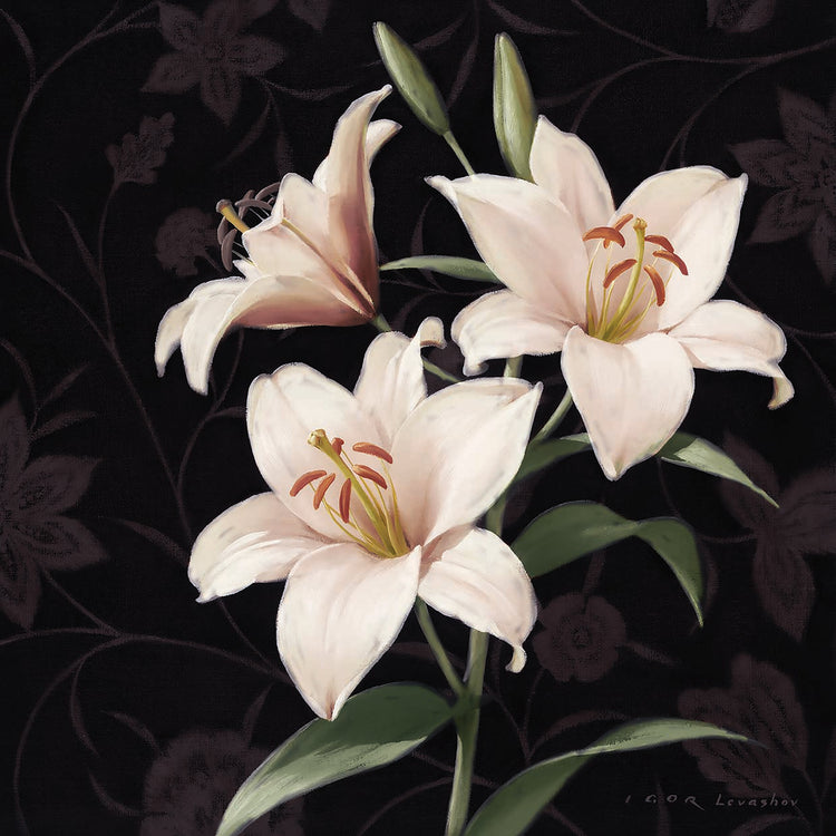 Lily Elegantes