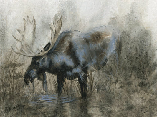 Majestic Elk Canvas Art