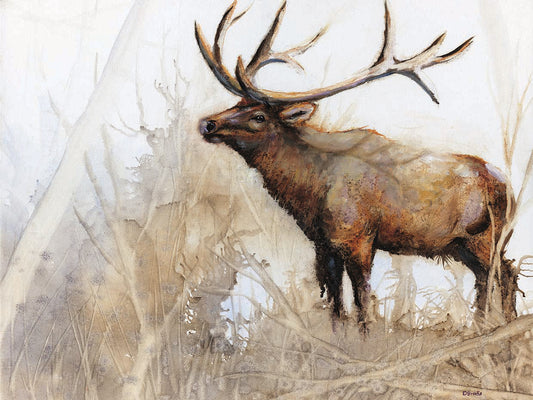 Majestic Moose Canvas Art