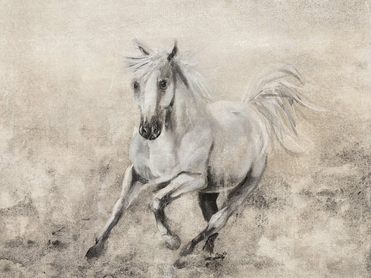 Majestic Stallion II Canvas Art