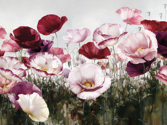 Royal Poppy Field Canvas Prints