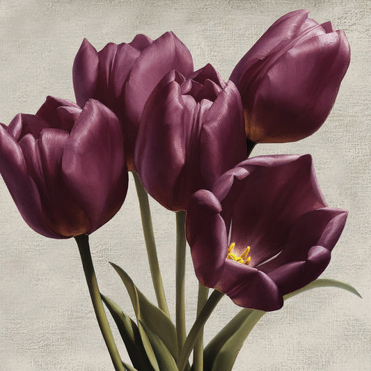 Royal Tulips Canvas Prints