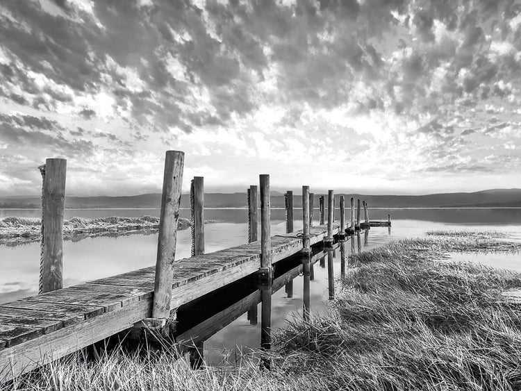 Sunset Contemplation