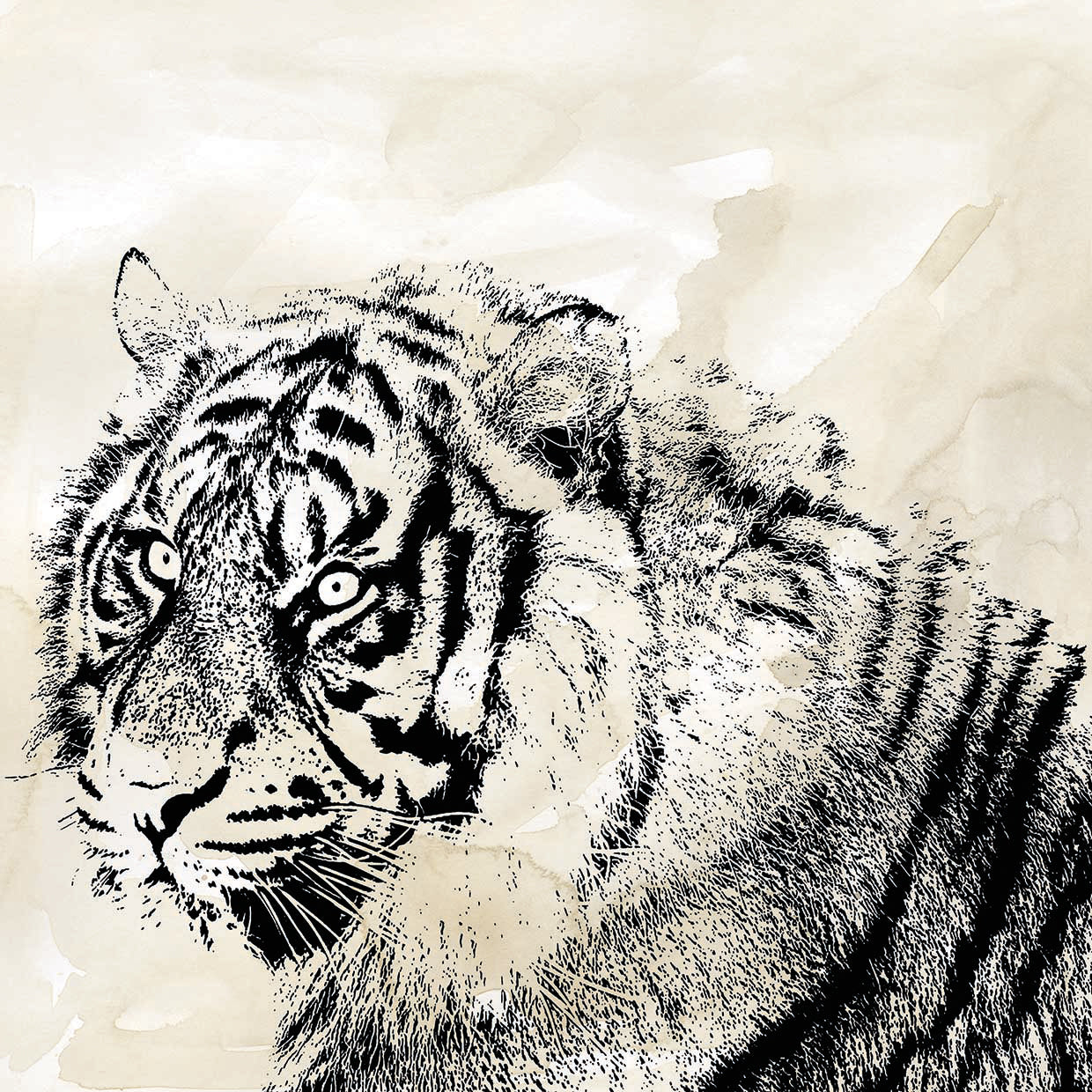 Tiger Stripes II by Carol Robinson  - museum quality wall art work on large canvas & framed canvas prints