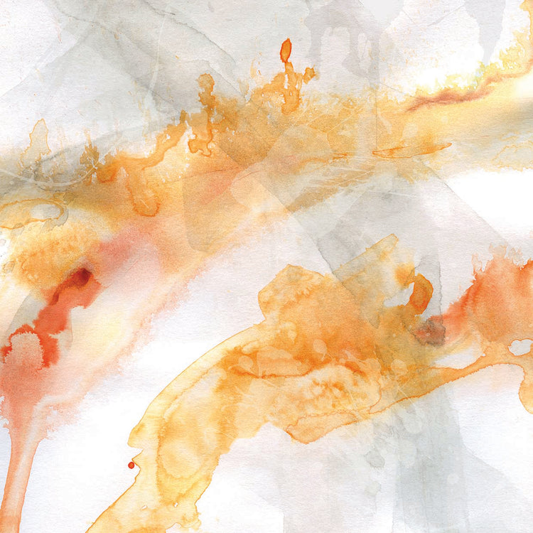 Transparent Opposites I by Carol Robinson  - lowest price wall art work on large canvas & framed canvas prints