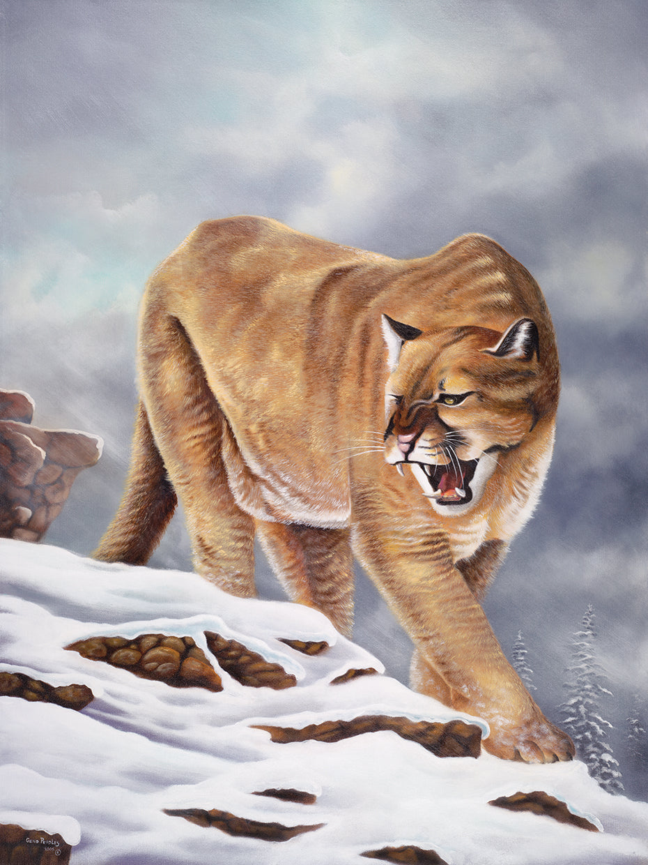 Arte de la lona del puma