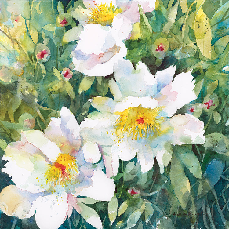 Pristine Peonies by Annelein Beukenkamp  - museum quality wall art work on large canvas & framed canvas prints