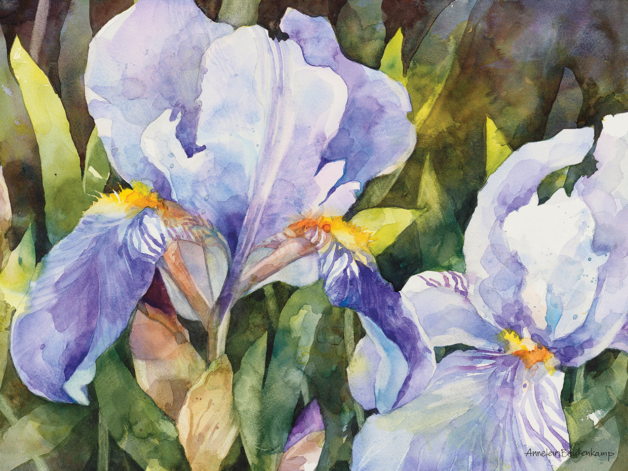 Purple Iris Closeup by Annelein Beukenkamp  - highest quality handcrafted wall art work on large canvas & framed canvas prints