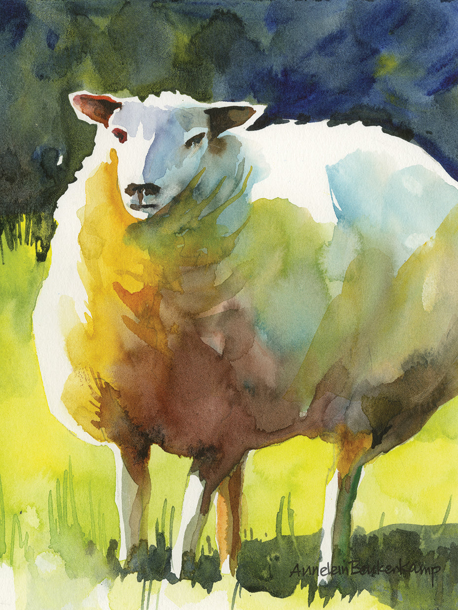 Sheep I by Annelein Beukenkamp  - larger sizes handcrafted wall art work on large canvas & framed canvas prints