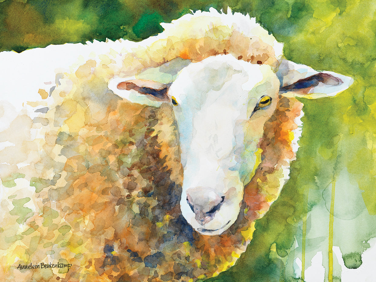 Sheep IV by Annelein Beukenkamp  - lowest price wall art work on large canvas & framed canvas prints