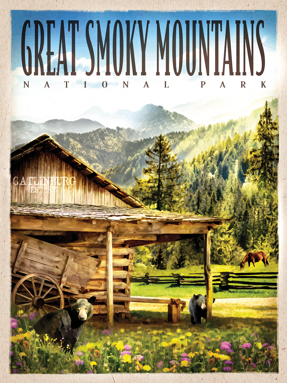 Smokey Mountain Cabin