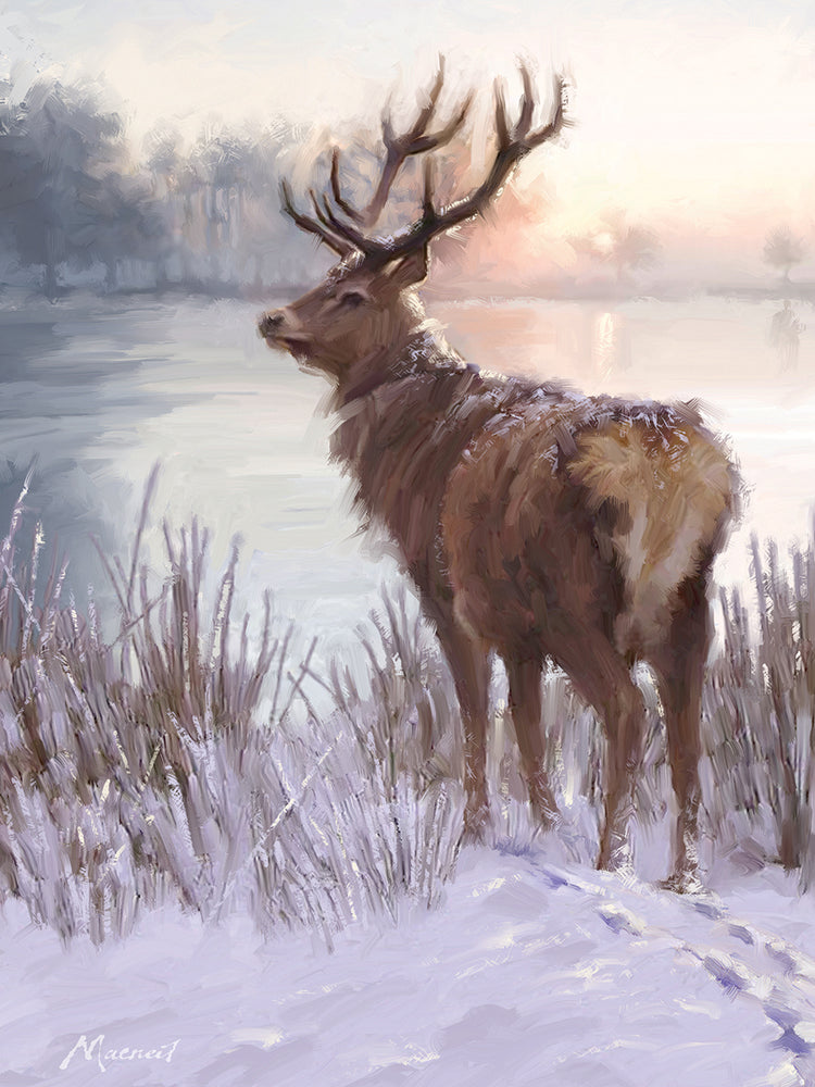 Winter Deer by The Macneil Studio  - larger sizes handcrafted wall art work on large canvas & framed canvas prints