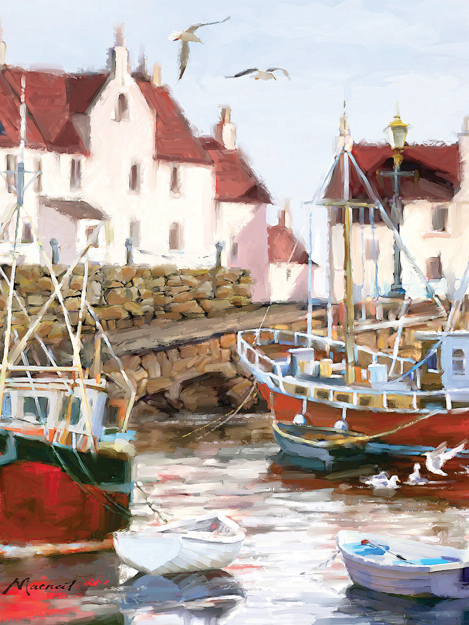 Gull Harbour Square by The Macneil Studio  - top quality wall art work on large canvas & framed canvas prints