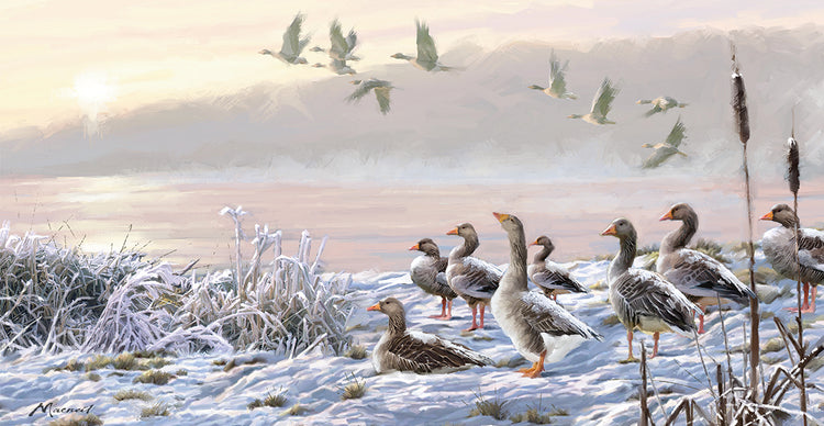 Winter River Geese by The Macneil Studio  - top quality wall art work on large canvas & framed canvas prints