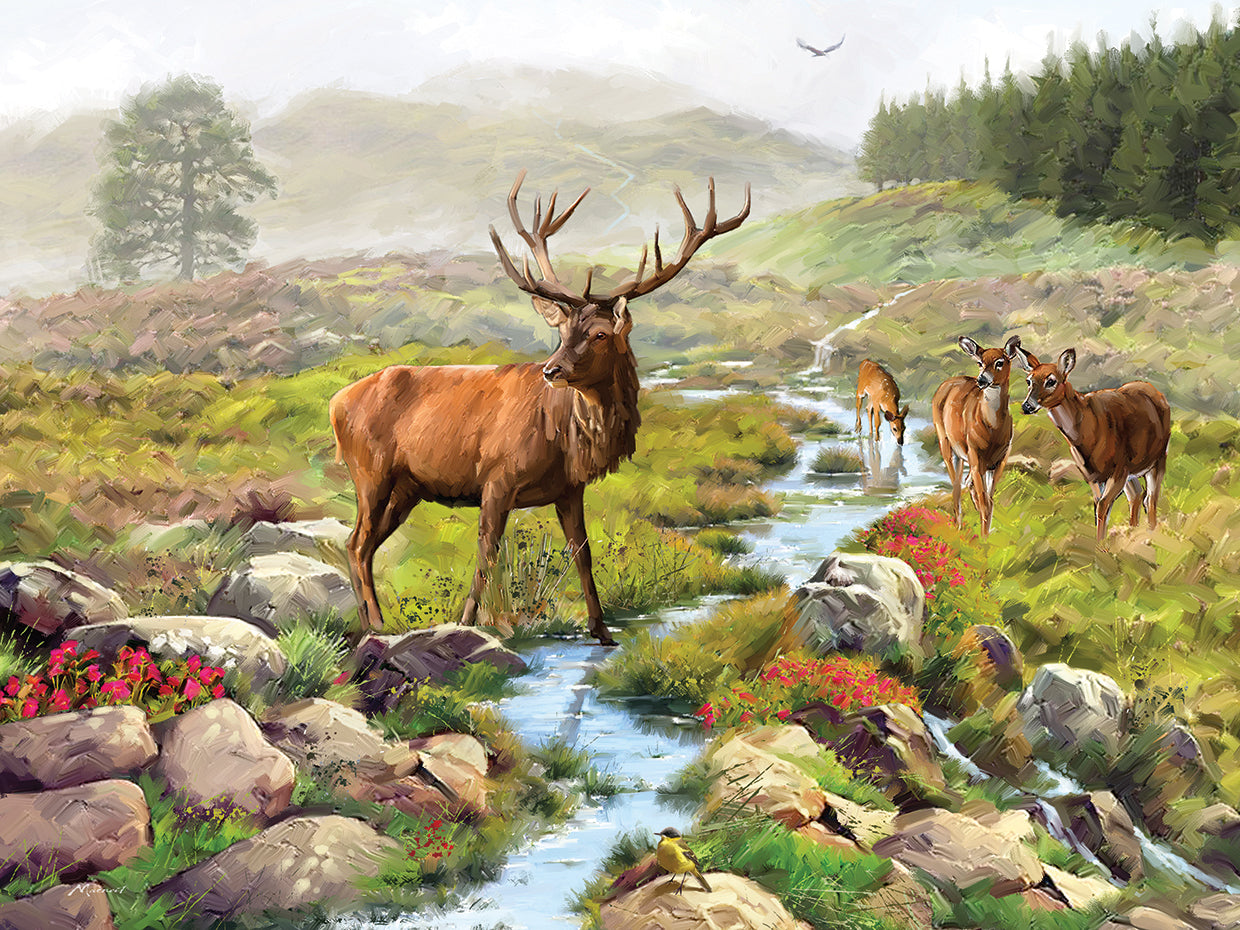 Stag by The Macneil Studio  - top quality wall art work on large canvas & framed canvas prints