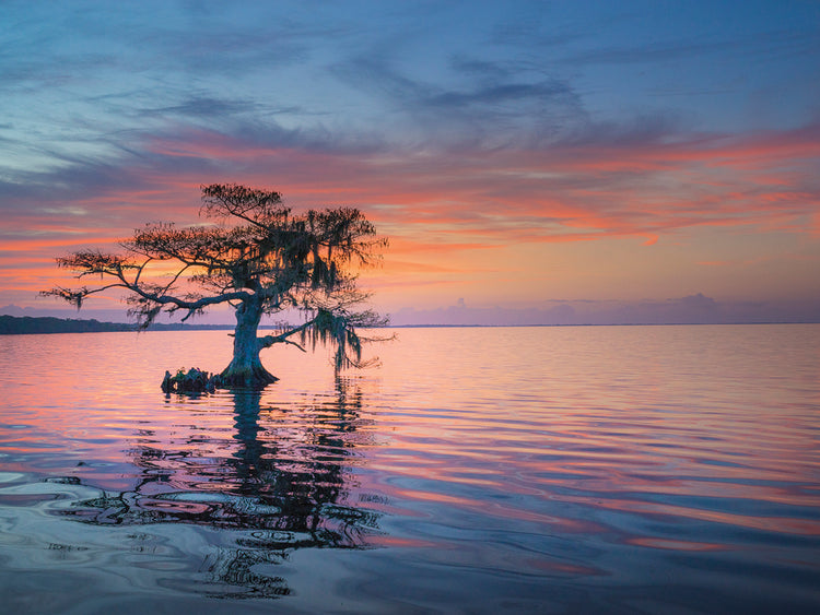 Alone at Sunrise by Moises Levy  - highest quality handcrafted wall art work on large canvas & framed canvas prints