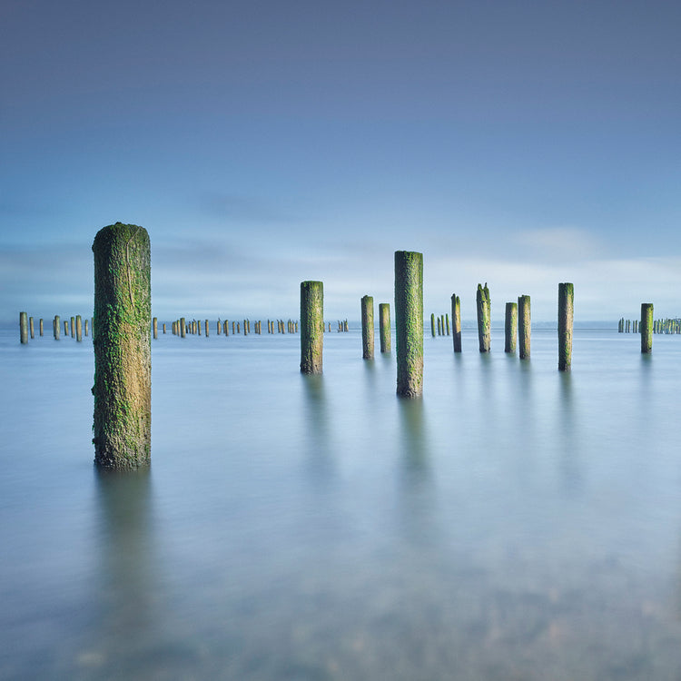 Army 2 by Moises Levy  - best quality handcrafted wall art work on large canvas & framed canvas prints