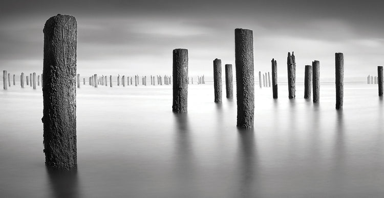 Army 2 Pano by Moises Levy  - lowest price wall art work on large canvas & framed canvas prints