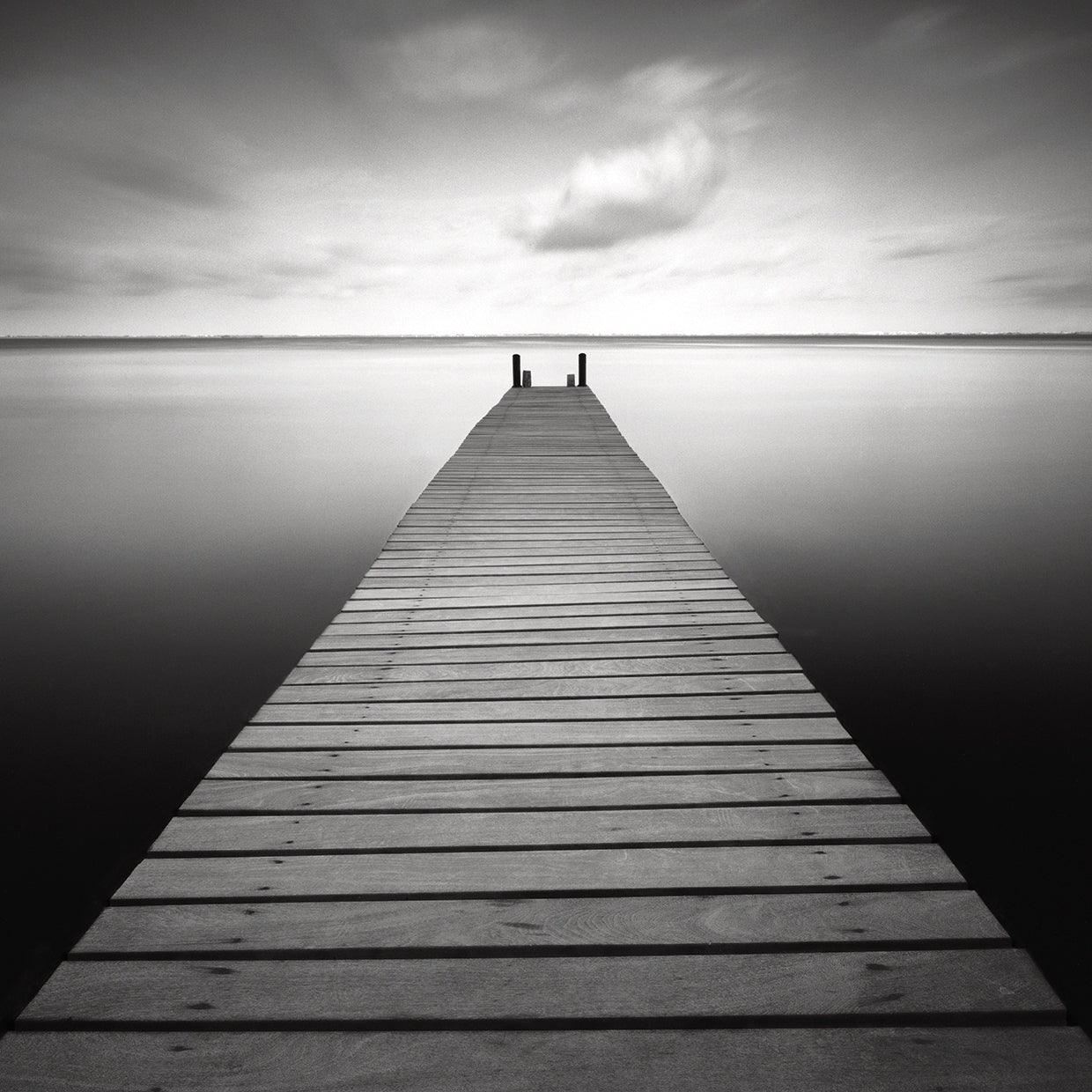 Bull by Moises Levy  - larger sizes handcrafted wall art work on large canvas & framed canvas prints