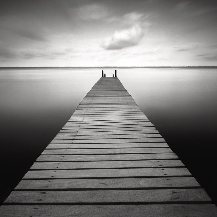 Bull by Moises Levy  - larger sizes handcrafted wall art work on large canvas & framed canvas prints