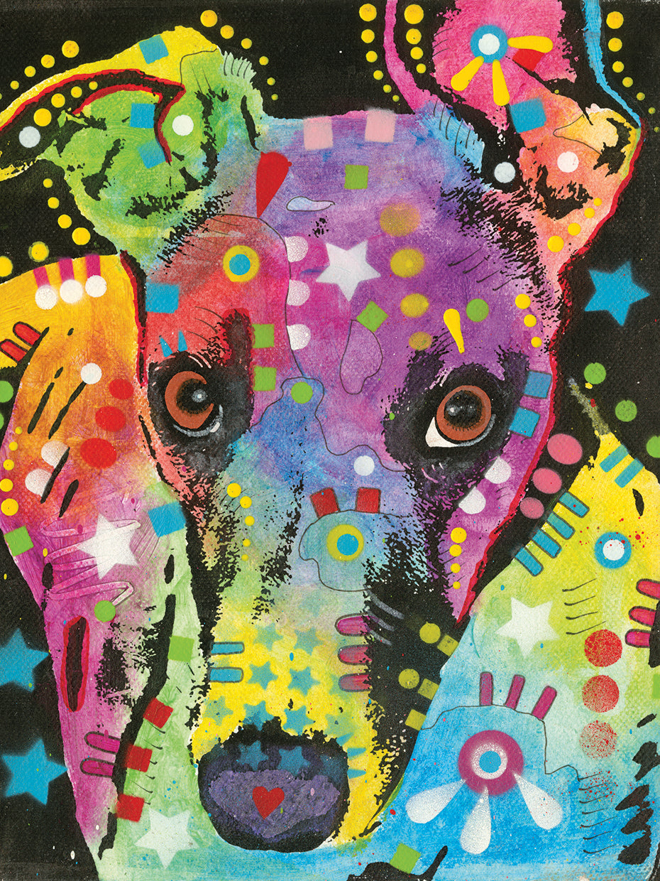 Curious Greyhound by Dean Russo  - top quality wall art work on large canvas & framed canvas prints