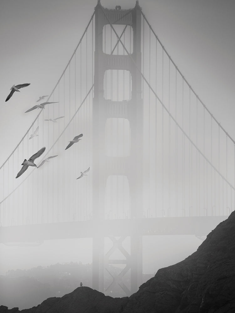 Golden Gate Pier and Birds II by Moises Levy  - top quality wall art work on large canvas & framed canvas prints