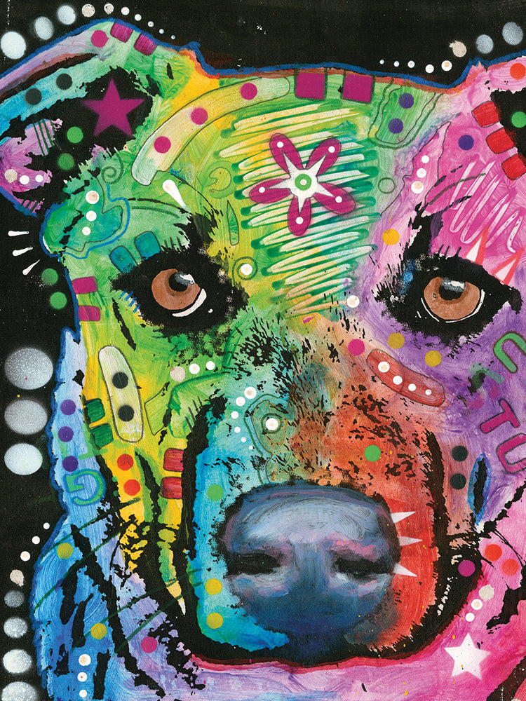 I didnâ€™t Do it by Dean Russo  - highest quality handcrafted wall art work on large canvas & framed canvas prints