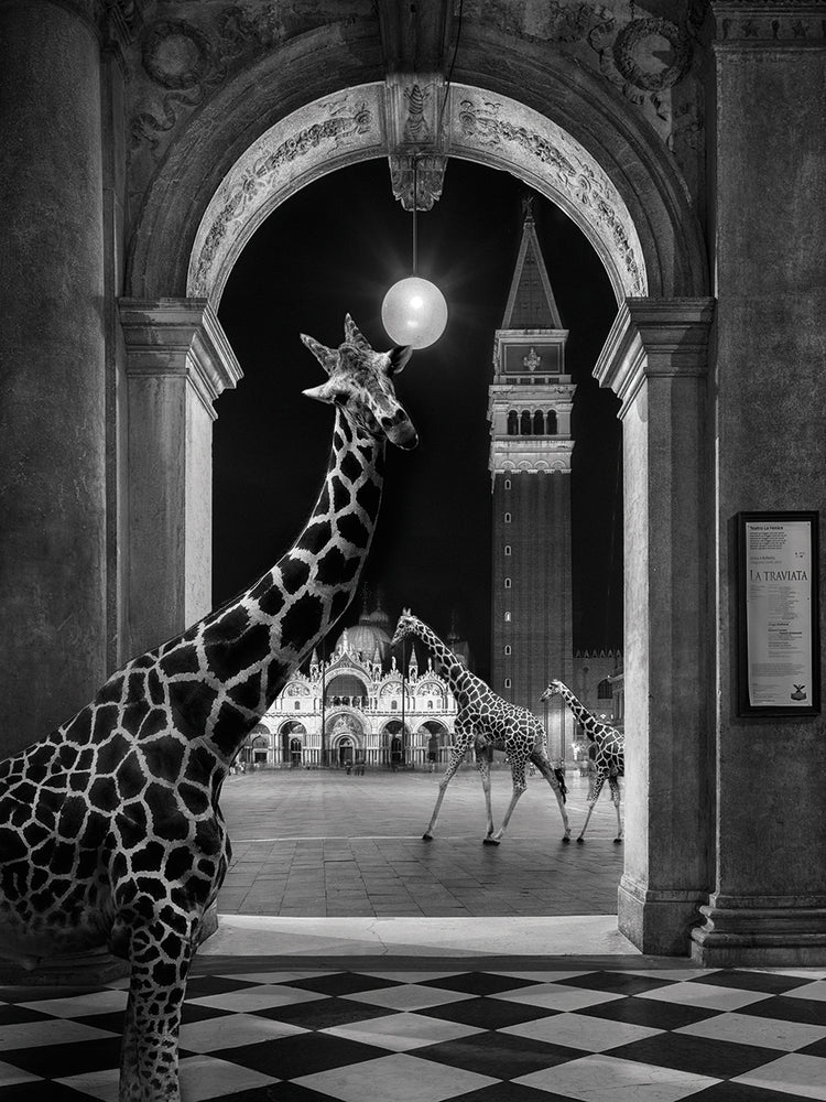 La Traviatta 2 by Moises Levy  - top quality wall art work on large canvas & framed canvas prints