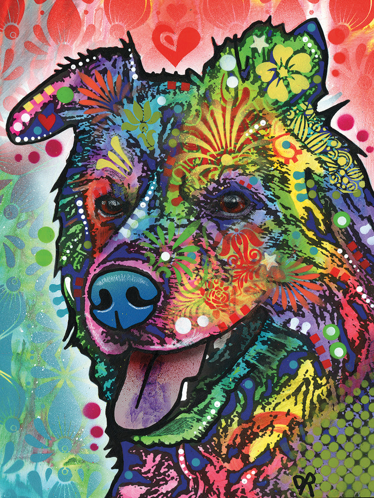 Molly Rose by Dean Russo  - top quality wall art work on large canvas & framed canvas prints