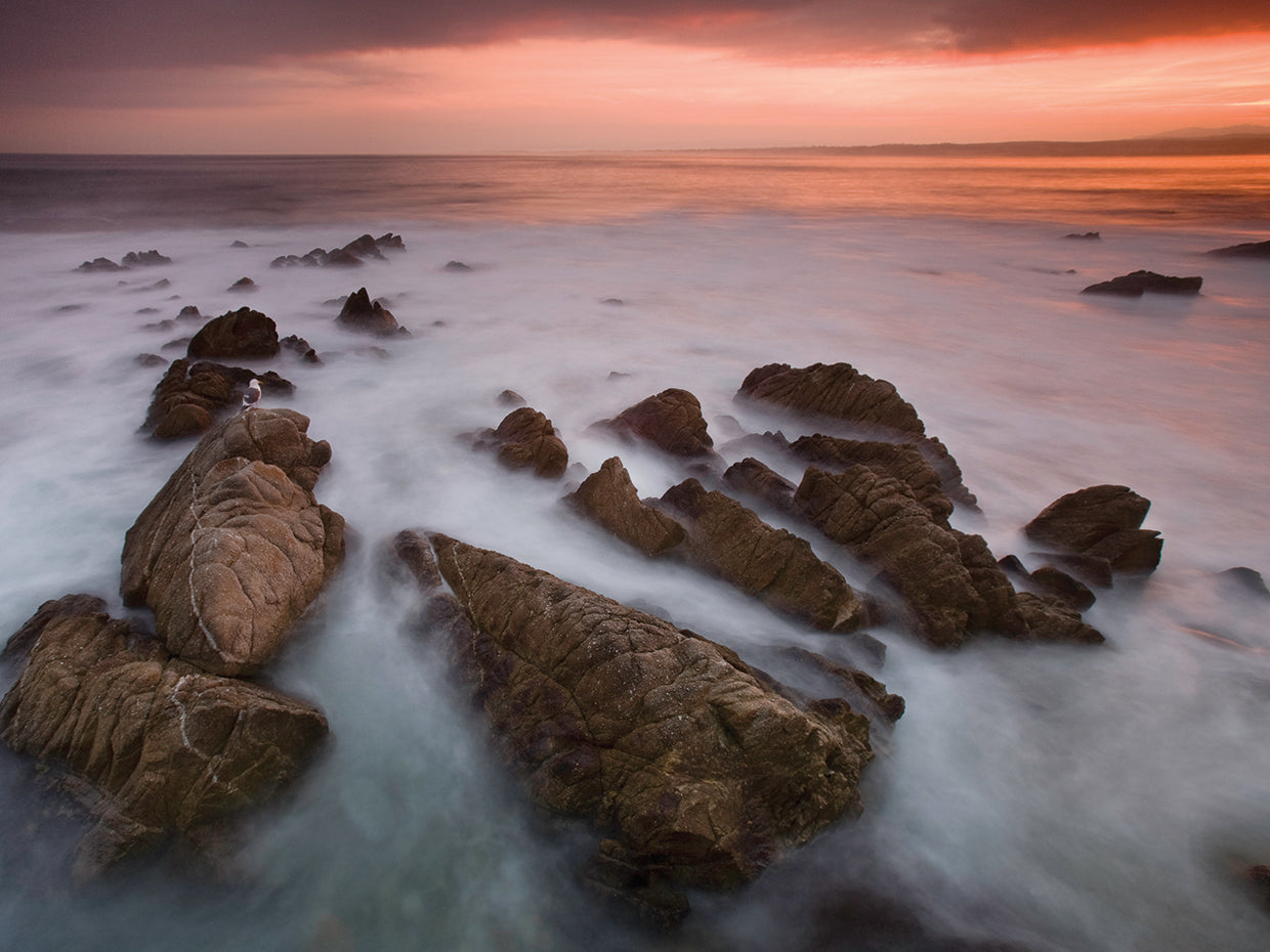 Monterey by Moises Levy  - museum quality wall art work on large canvas & framed canvas prints