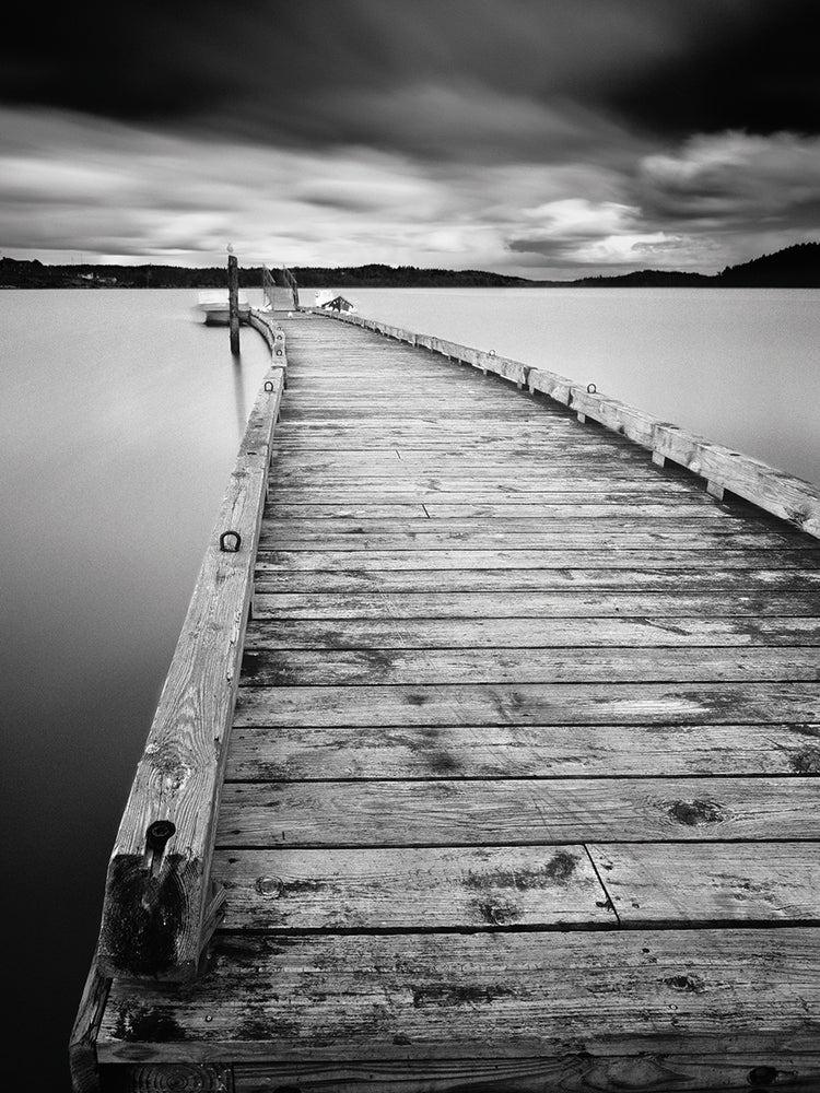 Motchia by Moises Levy  - top quality wall art work on large canvas & framed canvas prints