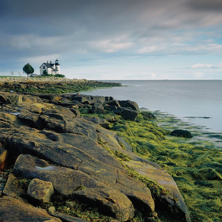 Prospect Light 1 by Moises Levy  - best quality handcrafted wall art work on large canvas & framed canvas prints