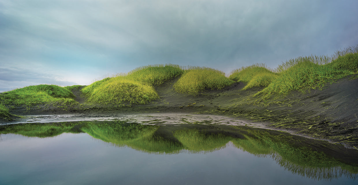 Reflejo Verde 2 by Moises Levy  - larger sizes handcrafted wall art work on large canvas & framed canvas prints