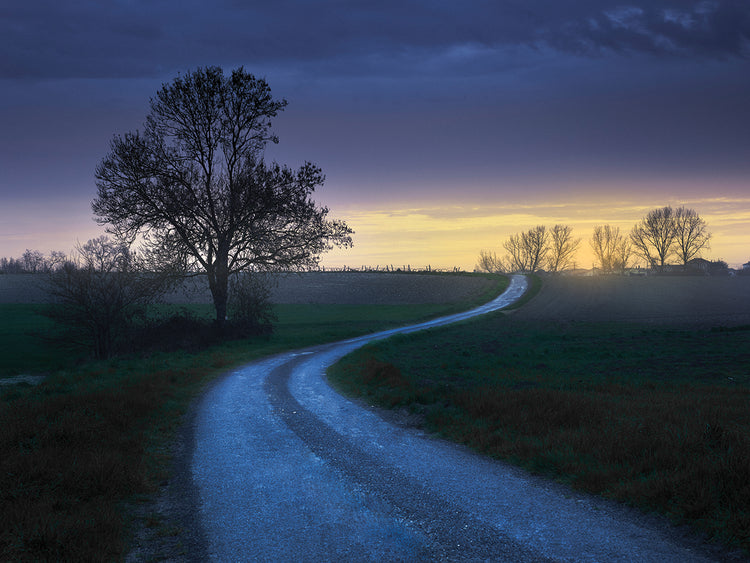 Sur Gironde 1_4 Flat by Moises Levy  - lowest price wall art work on large canvas & framed canvas prints