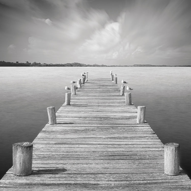 Tierra Desnuda by Moises Levy  - best quality handcrafted wall art work on large canvas & framed canvas prints