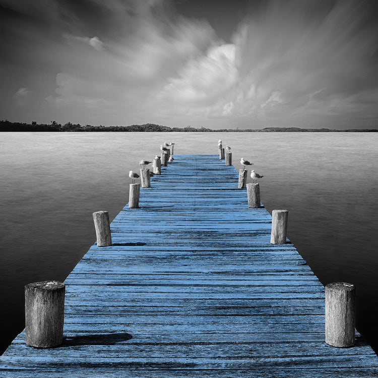 Tierra Desnuda - Pop Blue by Moises Levy  - museum quality wall art work on large canvas & framed canvas prints