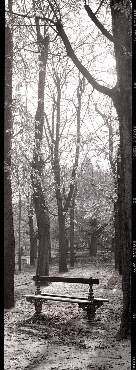 Jardin du Luxembourg Banc