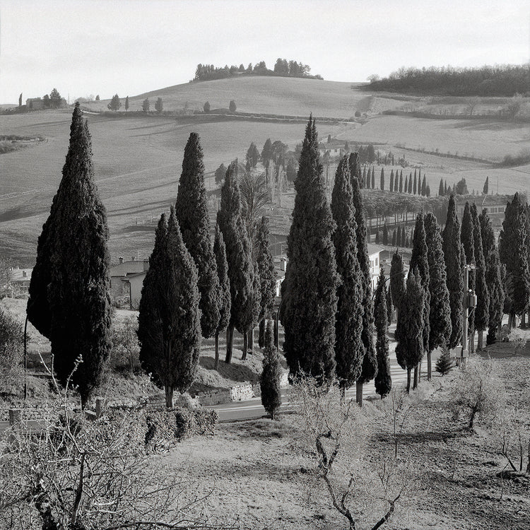 Tuscany IV