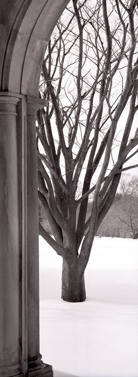Arte de la lona del arco del invierno de Hampton