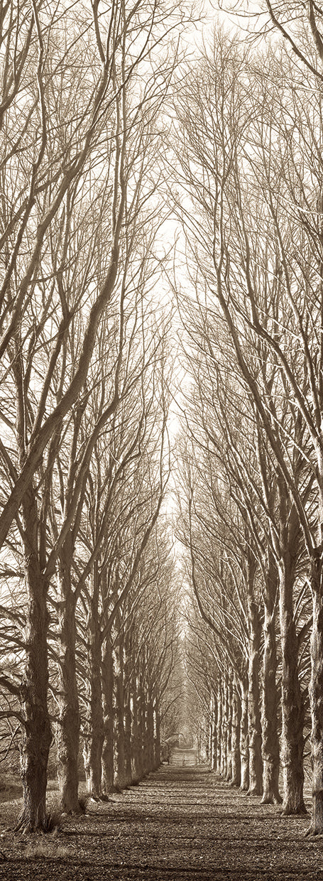 Hampton Gates Promenade