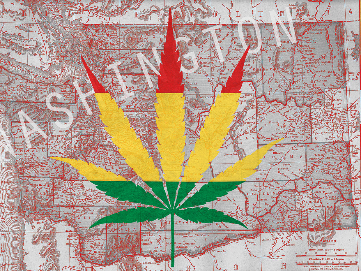 Legalizado II: Arte en lienzo de Washington