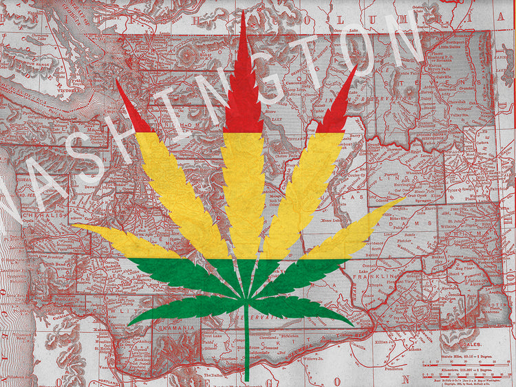Legalizado II: Arte en lienzo de Washington