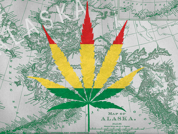 Legalizado III: Arte en lienzo de Alaska