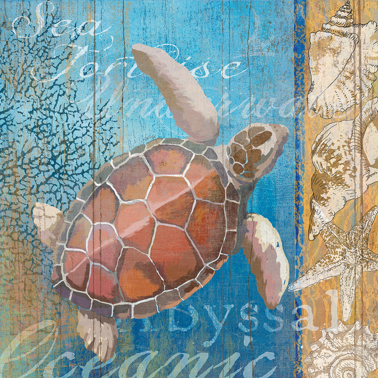 Lienzo de tortuga y mar