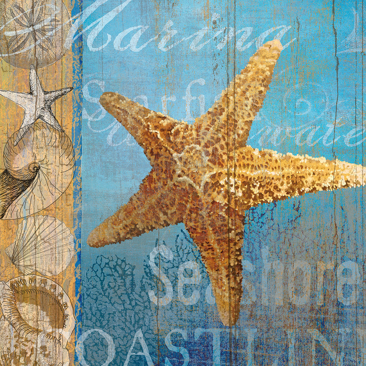 Cuadro en Lienzo Estrellas de mar y mar