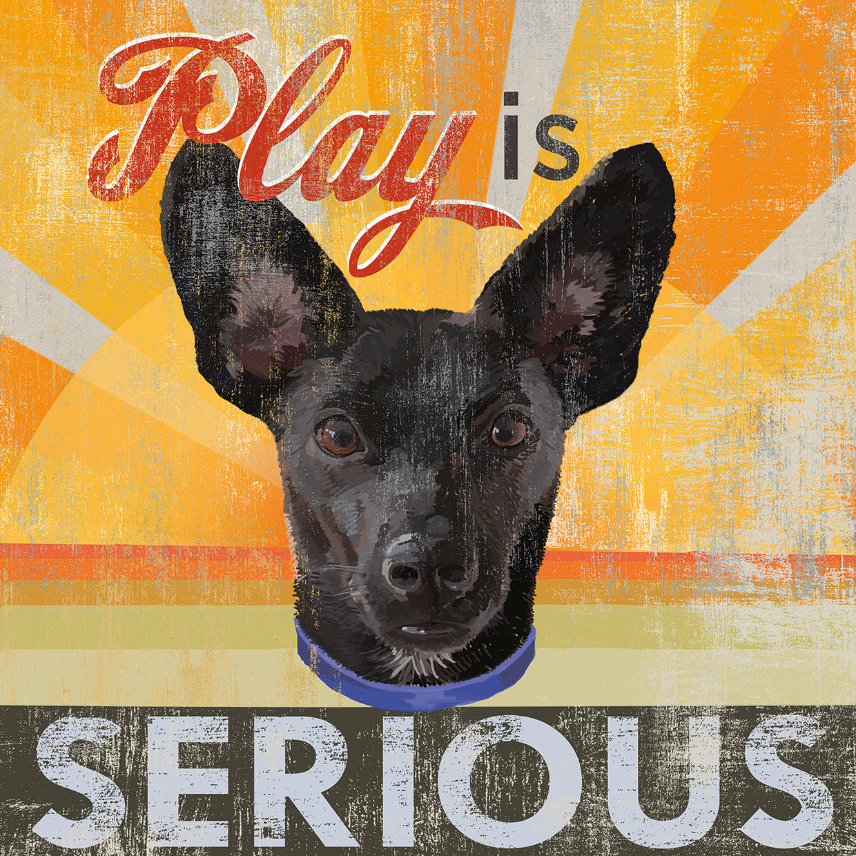 Dog days - llittle black pup