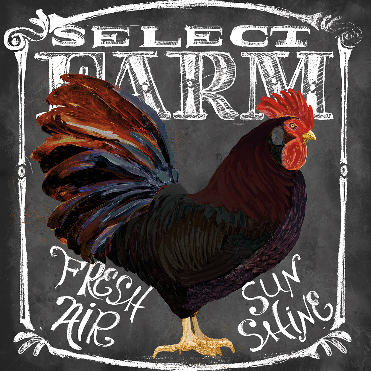 Rooster on Chalkboard III