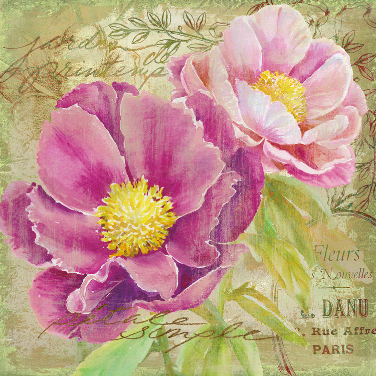 Arte de la lona del jardín de la peonía II